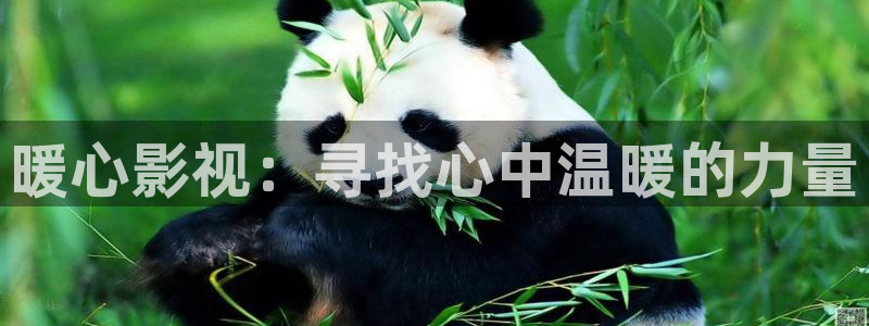 飘花手机电影院