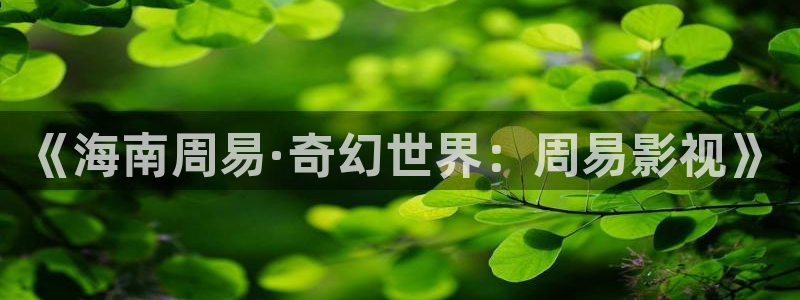 飘花影院网在线观看