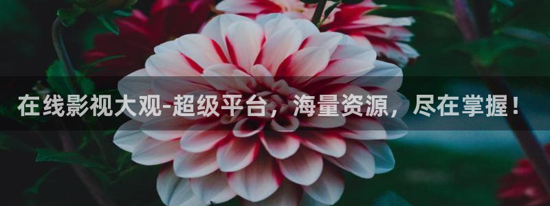 飘花影院手机版在线