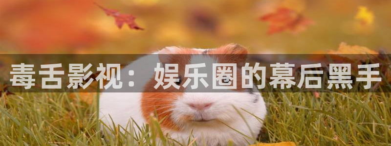 飘花电影网日韩